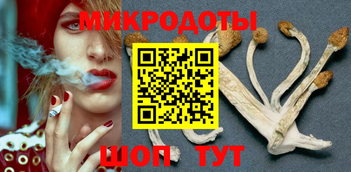 Галлюциногенные грибы MAGIC MUSHROOMS  Вход с VPN  Рославль 